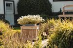 2-ft Cedar Box Planter
