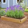 4-ft x 2-ft Raised Garden Box