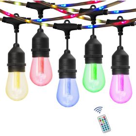 48' Color Change LED String Light Set with Remote Control, 15 Bulbs