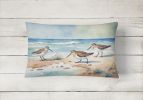 Birds, Birds, Birds Throw Pillow Throw Pillow for Indoor Couch Bed Outdoor Patio Washable, Sandpipers 7526,12Hx16W