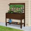 Outsunny Raised Garden Bed with Wheels Trellis Storage Shelf Wooden Planter Box Dark Brown