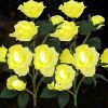 Solar Rose Lights Outdoor, 2 Pack with 14 Rose Flowers Waterproof Color Changing LED Flower Lights, Solar Powered Garden Stakes for Yard, Patio